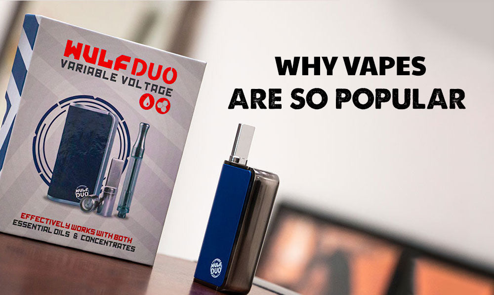 Why Vapes are so Popular blog Banner