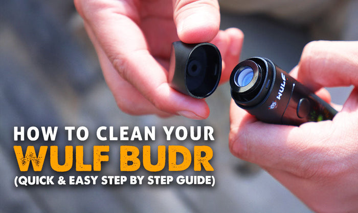 Cómo limpiar tu vaporizador Wulf Budr (Guía rápida y sencilla paso a paso)