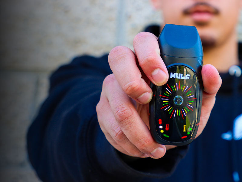 Person holding a WULF Faze Dry Herb vaping device with colorful display